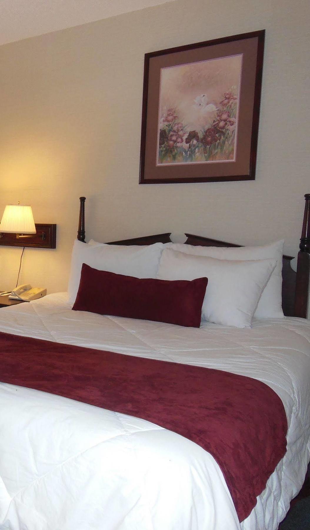 Guest Inn & Suites - Midtown Medical Center 小岩城 外观 照片